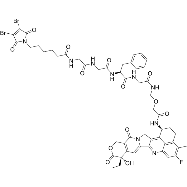 DBM-GGFG-NH-O-CO-Exatecan 2769152-95-4